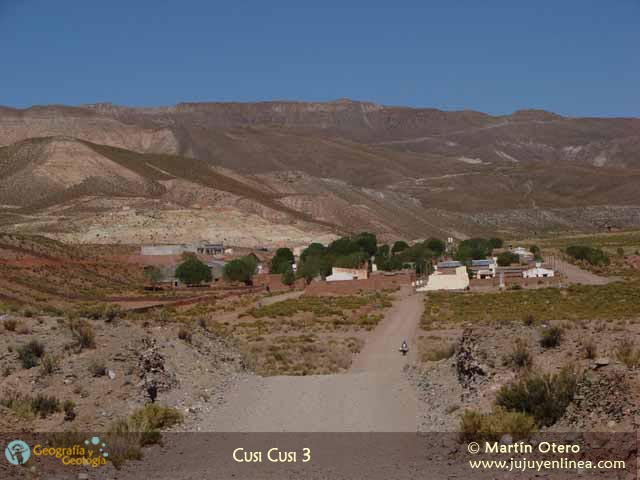 Cusi Cusi 3